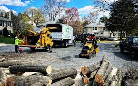 Seasonal Cleanup (Spring/Fall) in Jonesville, MI